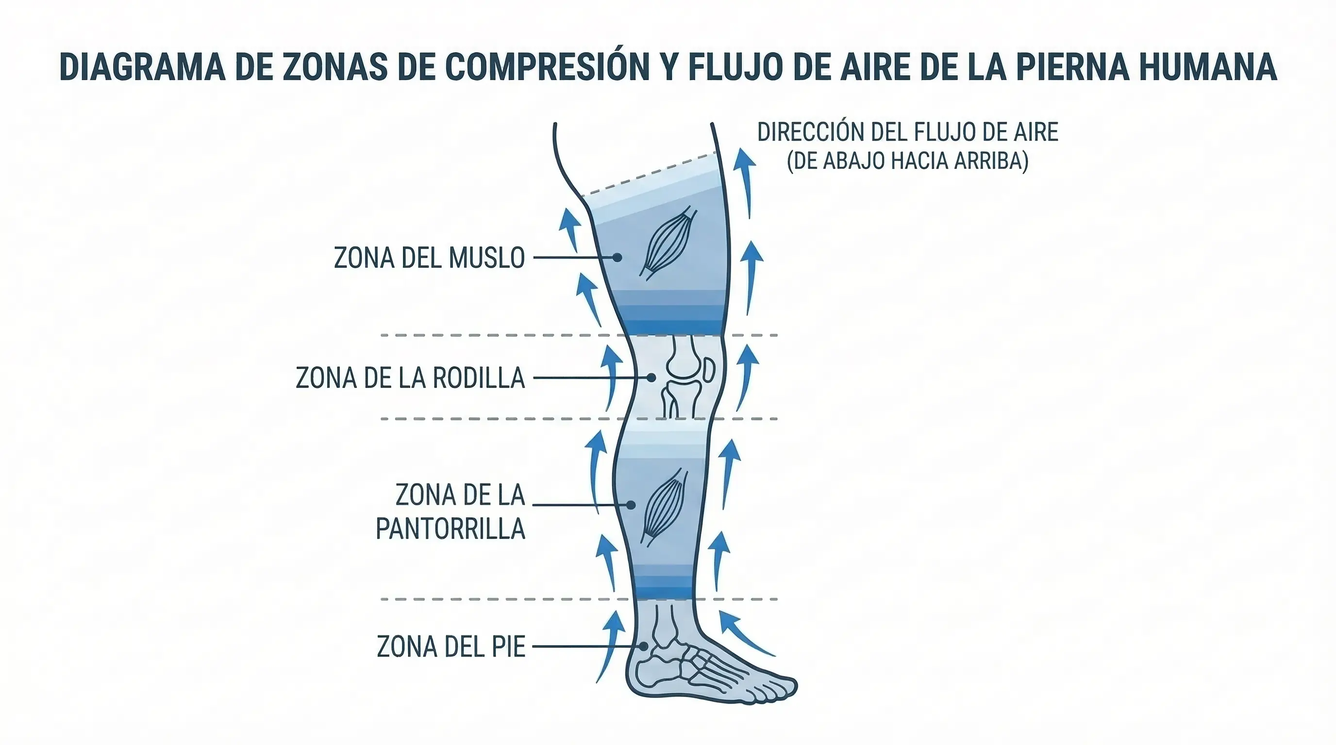 Infografía técnica sobre el funcionamiento de las cámaras de aire en botas de presoterapia