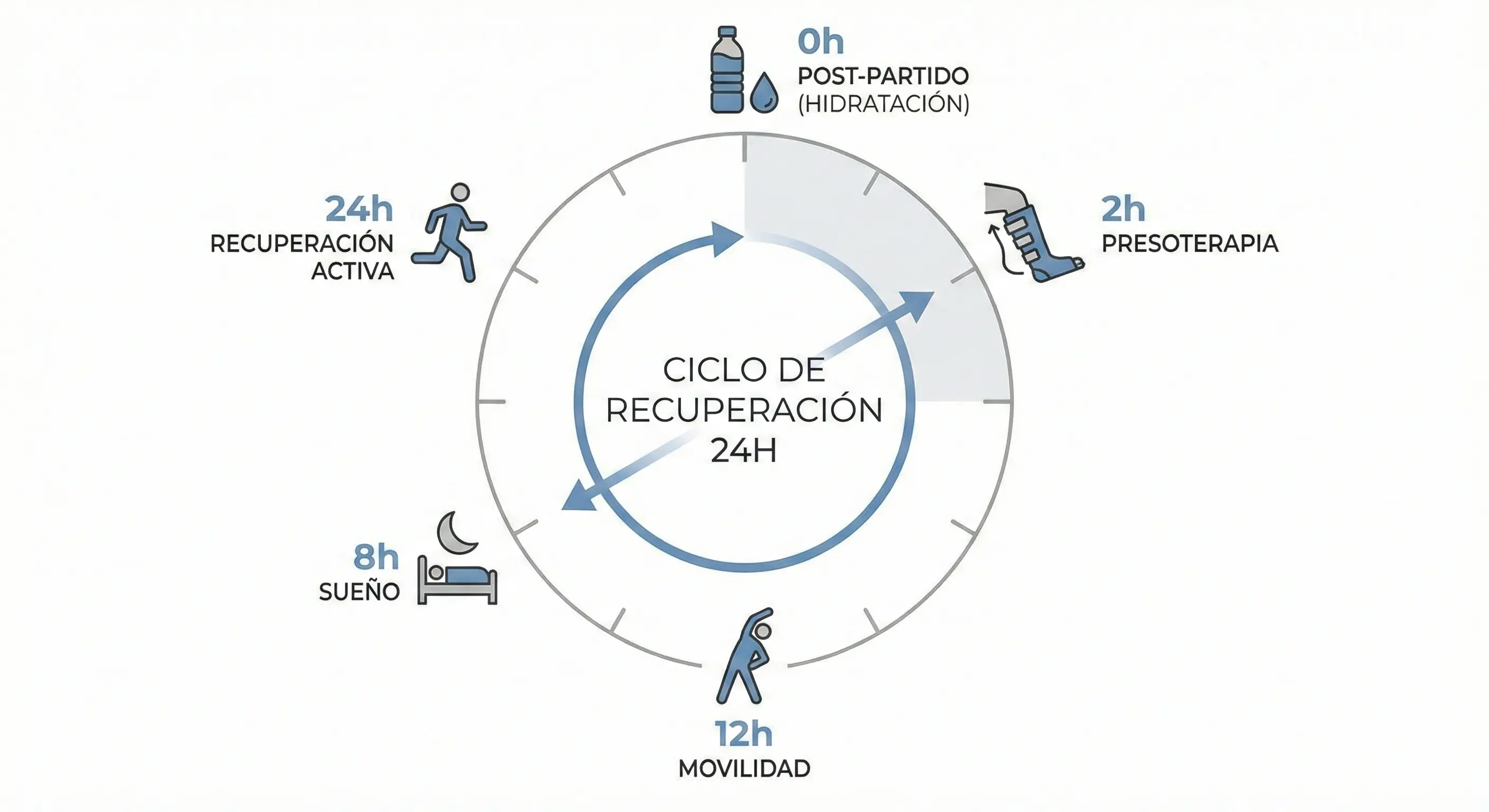 Infografía de cronograma de recuperación de 24 horas detallando hitos desde la hidratación post-partido hasta la movilidad activa.